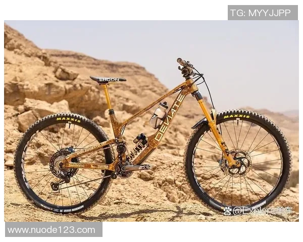 探索专用自行车的多样选择与骑行乐趣,助你畅享骑行之旅